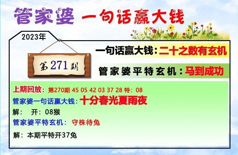 管家婆必出一肖一码，揭秘管家婆必出一肖一码，背后的秘密与真相探索