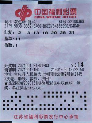 2025澳门天天开好彩大全开奖结果，澳门天天开好彩，探索彩票文化及未来开奖展望（2025篇）