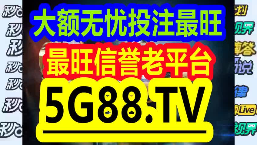 管家婆一码一肖100中奖，揭秘管家婆一码一肖100中奖，梦想与现实的交织