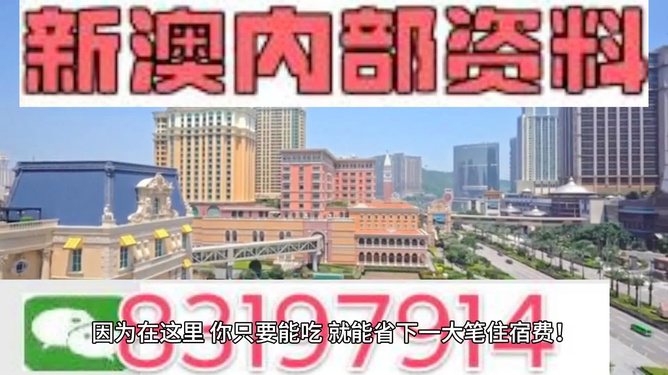 新澳门最精准正最精准龙门，新澳门最精准正最精准龙门，探索与揭秘