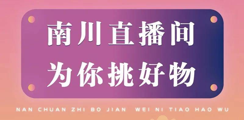 澳门今晚一肖必中特，澳门今晚一肖必中特，揭秘生肖彩票的魅力和策略
