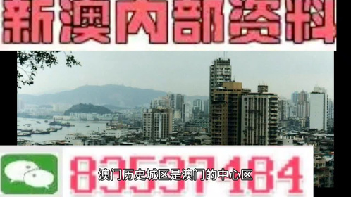 新澳门2025年资料大全管家婆，新澳门2025年资料大全管家婆