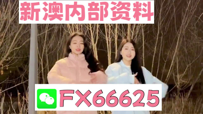 管家婆一码一肖100准，揭秘管家婆一码一肖，100%精准的预测之道