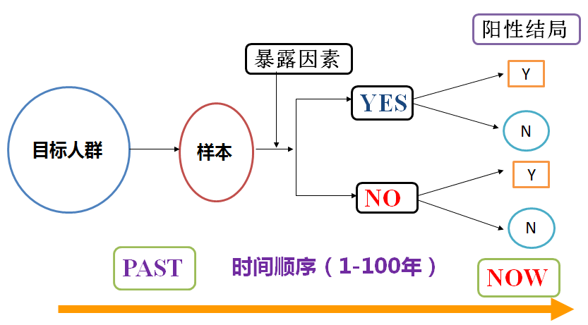 正版资料免费资料大全九点半，正版资料免费资料大全，探索与利用九点半的黄金时段