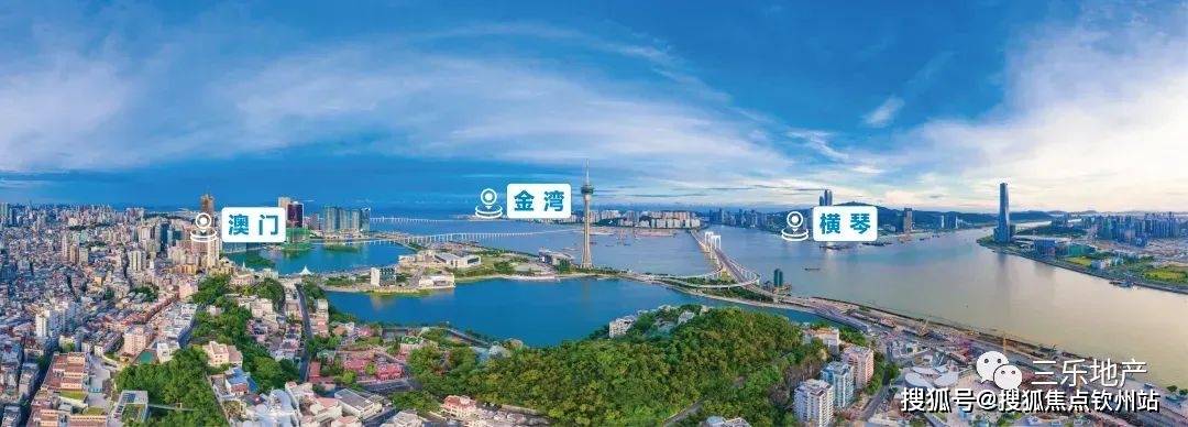 四肖期期准免费资料大全，四肖期期准免费资料大全，探索与解析