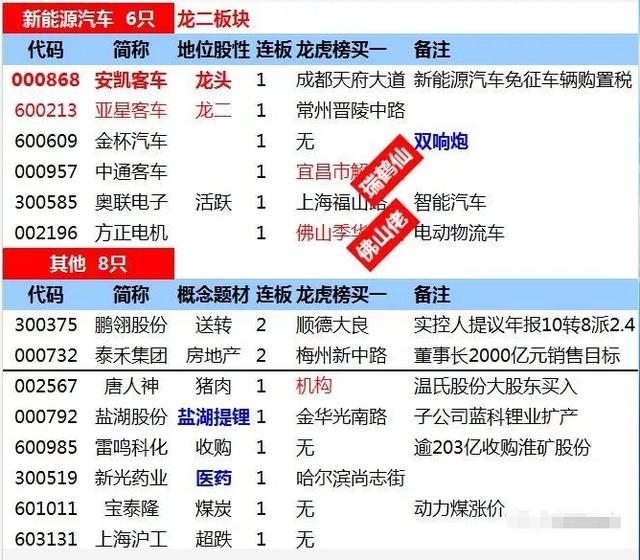 澳门特马今晚开码网站，澳门特马今晚开码网站——探索与解析