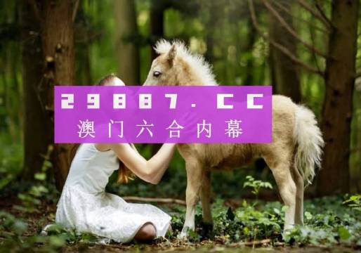 澳门开奖4949，澳门开奖4949，探索与解析