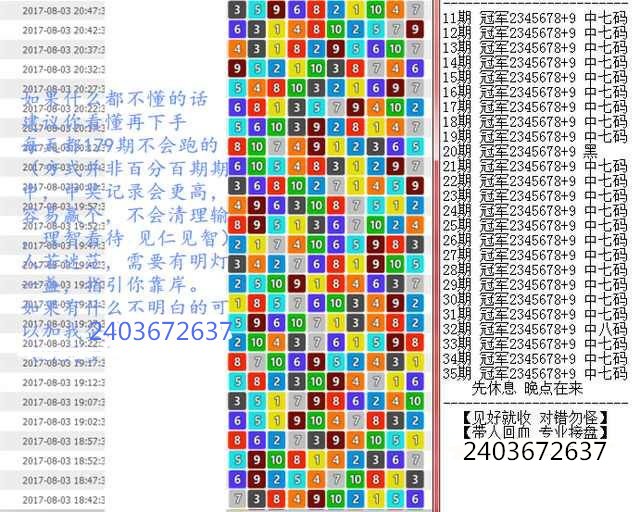 澳门王中王100精准数据解读，澳门王中王精准数据解读，探索背后的秘密与真相