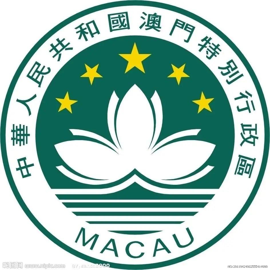 新澳门一码一码100准，新澳门一码一码，揭秘精准预测的神秘面纱