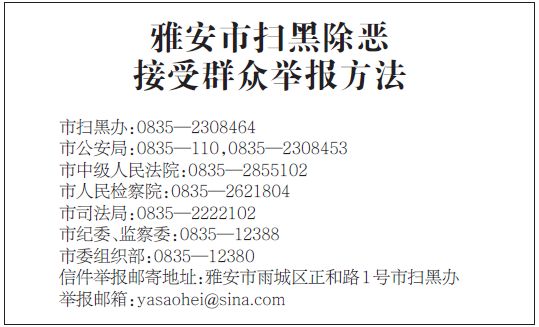 澳门一码一肖一待一中四不像，澳门一码一肖一待一中四不像，探索神秘与现实的交汇点