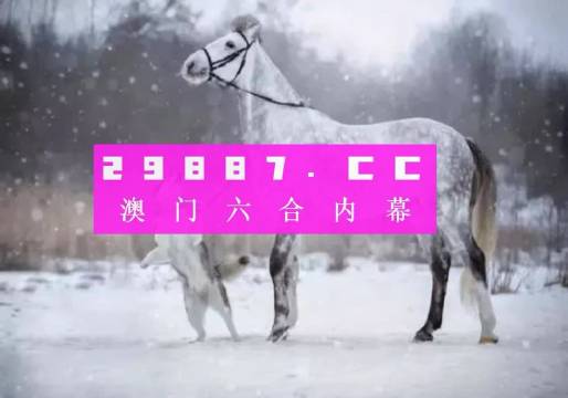 澳门最准一肖一码，澳门最准一肖一码，探索背后的秘密与真相