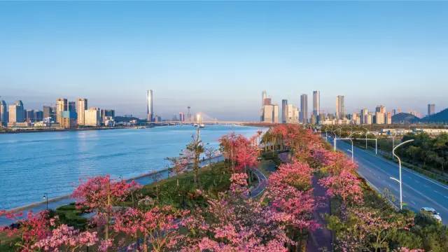 2025年奥门资料大全，2025年澳门资料大全概览