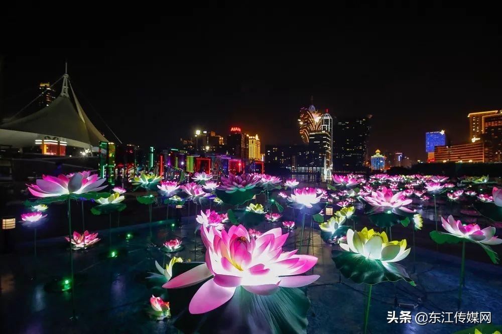 澳门跑狗图免费正版图2025年，澳门跑狗图免费正版图2025年，探索未来与传承历史
