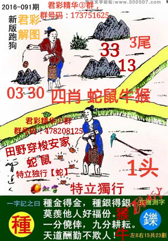 2025正版资料澳门跑狗图跑狗图2025年今期，澳门跑狗图正版资料分析，探索未来的跑狗趋势（2025年预测）