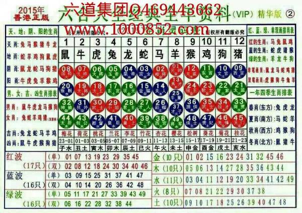2025十二生肖49码表，揭秘，2025十二生肖与彩票49码表的不解之缘