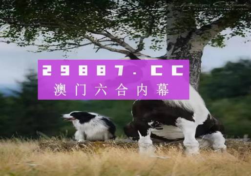澳门内部正版免费资料使用方法，澳门内部正版免费资料的使用方法及其价值